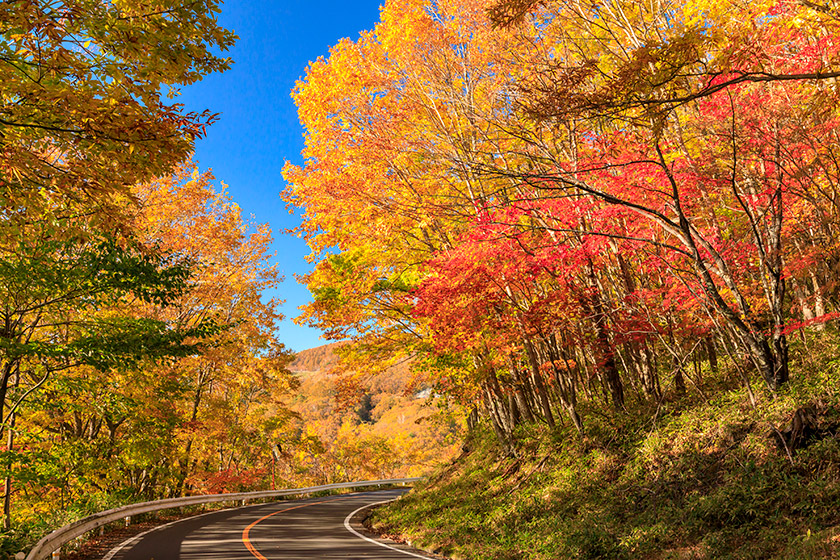 秋ドライブで巡る人気スポット紹介！紅葉・絶景を楽しみ尽くそう